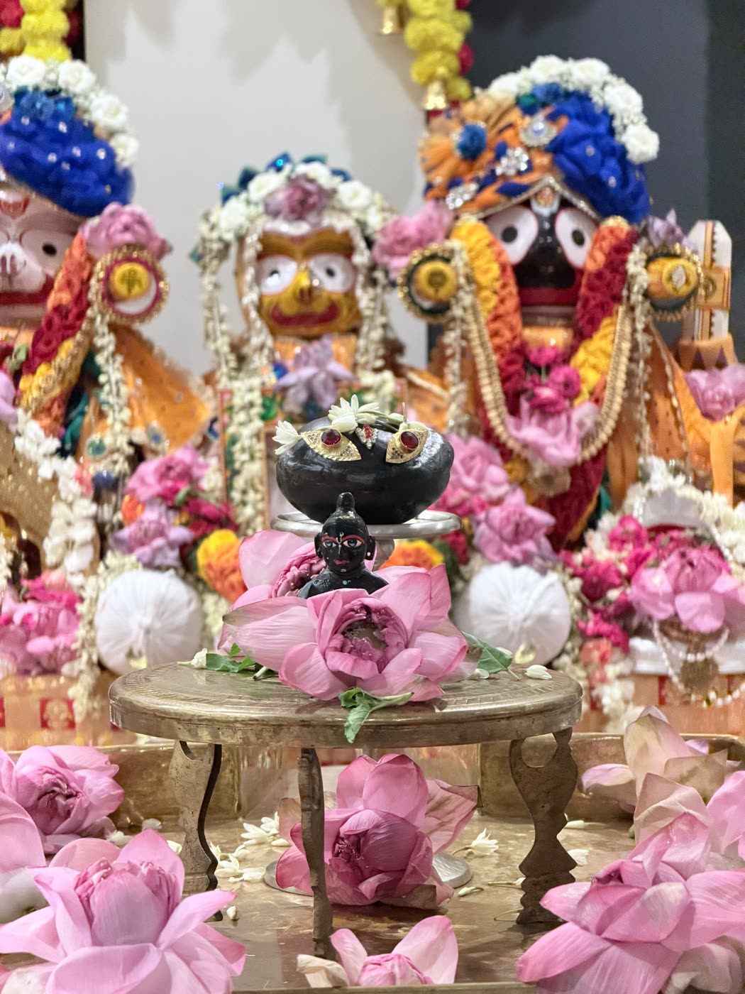 The abhiṣeka arranged before Śrī Śrī Jagannātha, Baladeva and Subhadrā